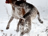 Elof &Fifi