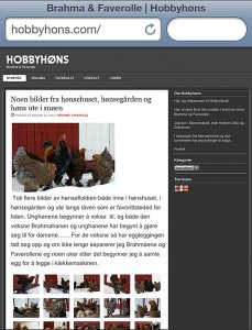 Hobbyhøns -  www.hobbyhons.com