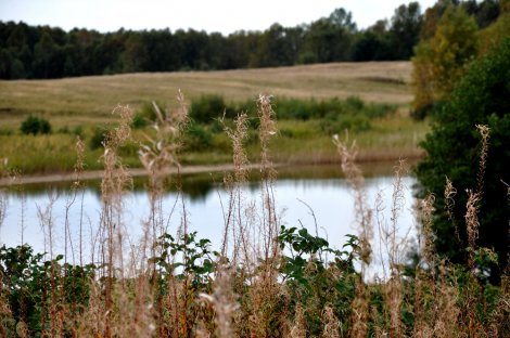 Saxtorpsjöarna