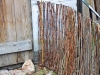Fiffigt staket av kompostnät och pil!